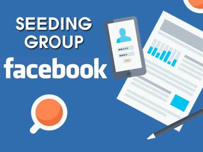 Seeding Group Facebook - Tuyệt chiêu thu hút khách hàng tiềm năng