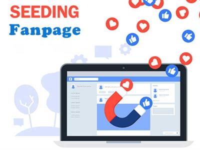 Seeding Facebook - Tăng tương tác, uy tín và sức mua sản phẩm