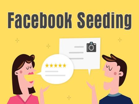 Tạo chiến dịch seeding facebook hiệu quả