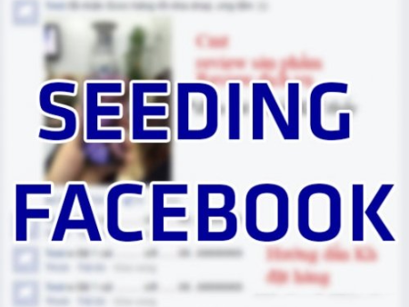 Những điều cần biết giúp Seeding Facebook hiệu quả