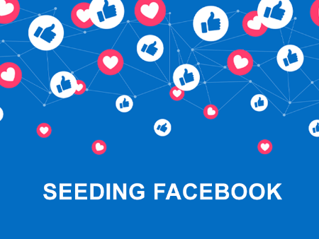 Cách Seeding Facebook hiệu quả không phải ai cũng biết!