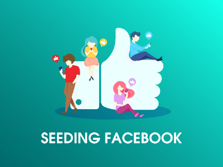 Seeding Group là gì? Cách quảng cáo hiệu quả với giá 0 đồng