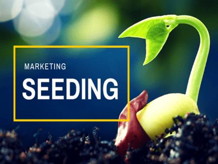 3 giai đoạn triển khai chiến dịch Seeding Marketing hiệu quả trong Digital Marketing