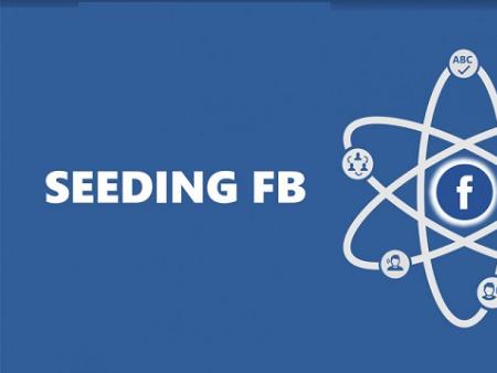 Seeding Facebook là gì? Chiến lược Seeding Facebook hiệu quả giúp tăng chuyển đổi 2026