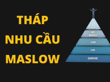 Tháp nhu cầu Maslow 8 tầng là gì? Phân tích chi tiết và cách ứng dụng thực tế trong marketing 